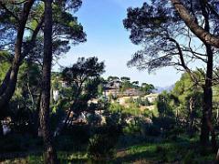 183 HYERES ET SES PALMIERS D15_000034